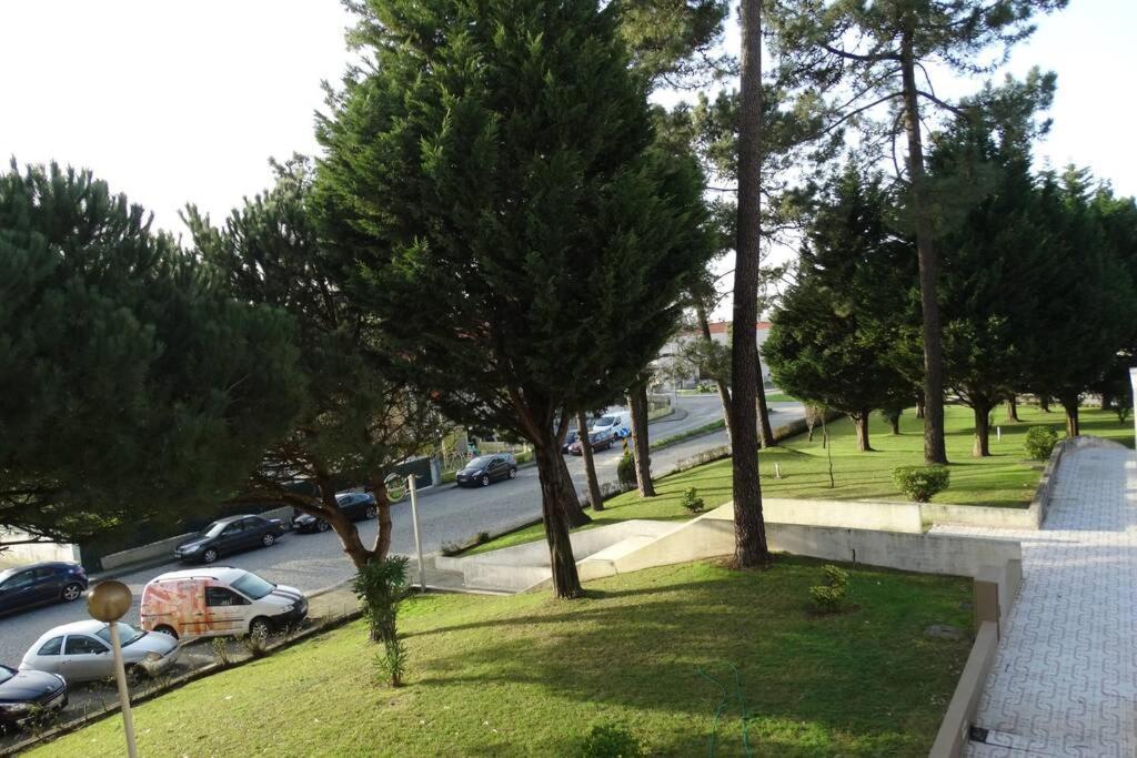 Azurara Beach Large And Sunny Apartment Árvore Esterno foto